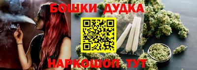индика Будённовск