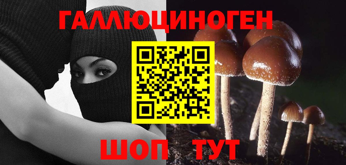 Псилоцибиновые грибы мухоморы  Вход с VPN  Краснокаменск  Псилоцибиновые грибы MAGIC MUSHROOMS 