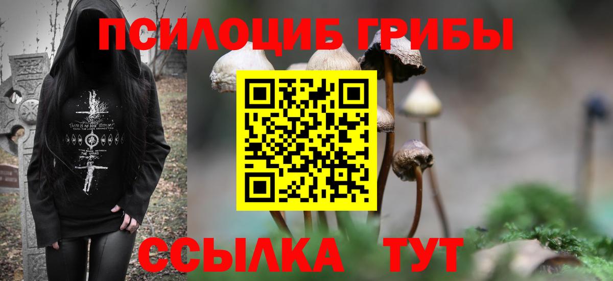 Псилоцибиновые грибы мицелий Краснокаменск